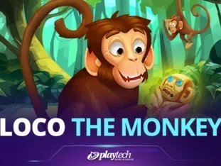 Loco The Monkey game screenshot